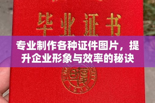 宜春专业制作各种证件图片，提升企业形象与效率的秘诀