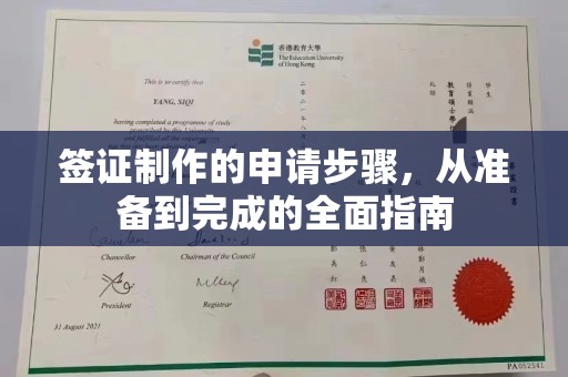 宜春签证制作的申请步骤，从准备到完成的全面指南