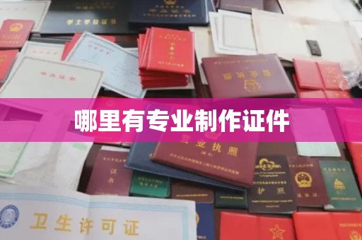宜春哪里有专业制作证件
